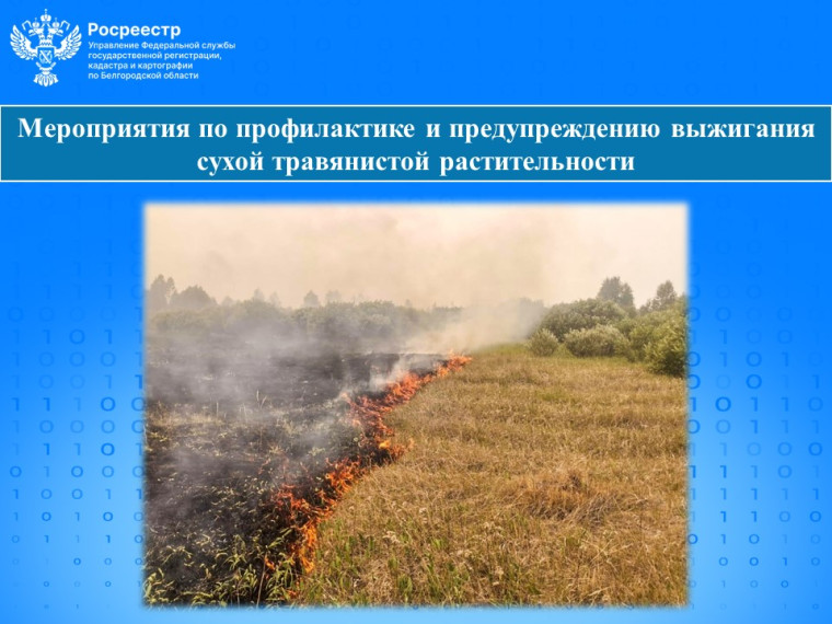 Лето – это время, когда повышается риск возникновения пожаров из-за сухой и жаркой погоды, а также неосторожного обращения с огнем..