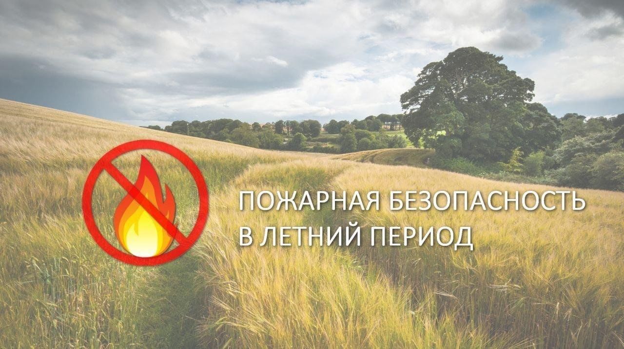 Памятка о мерах пожарной безопасности в летний пожароопасный период..