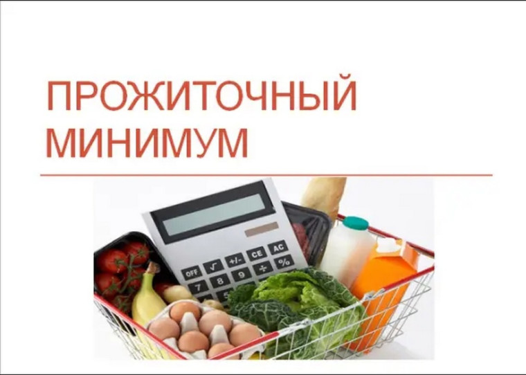Установлена величина прожиточного минимума по стране на 2025 год. Установлена величина прожиточного минимума по стране на 2025 год.