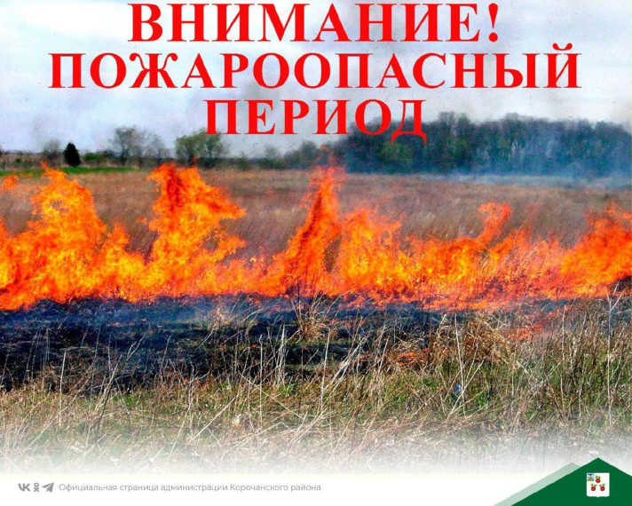 О недопущении природных пожаров в весенне-летний период. О недопущении природных пожаров в весенне-летний период.